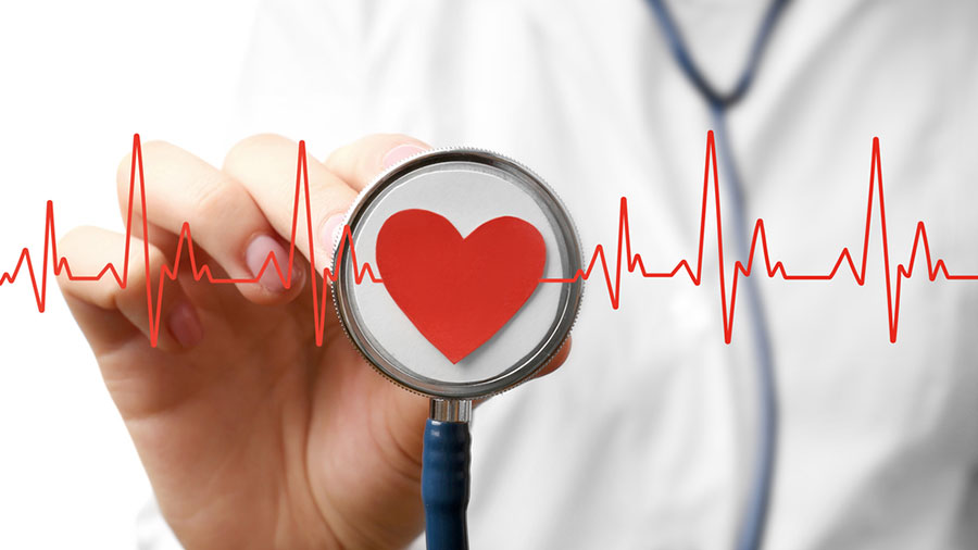 سیستم قلب و عروق چیست؟